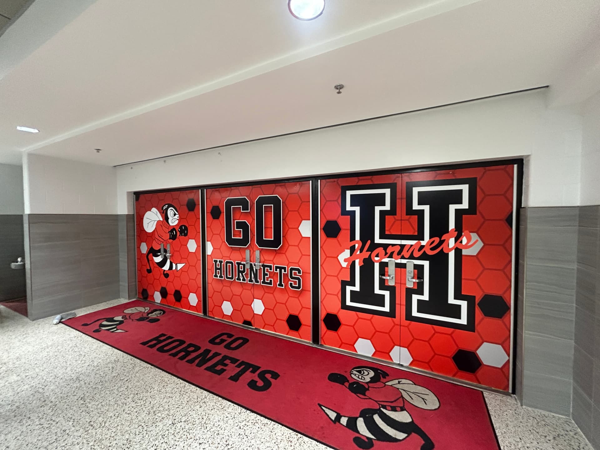 Go Hornets